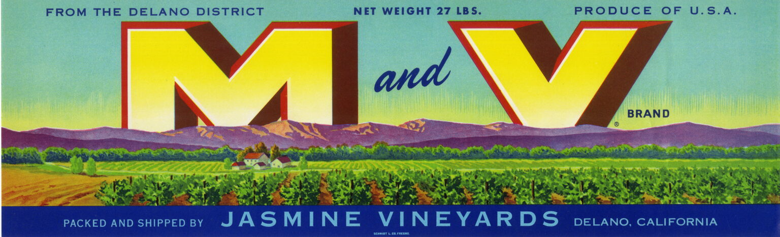 M and V M and V